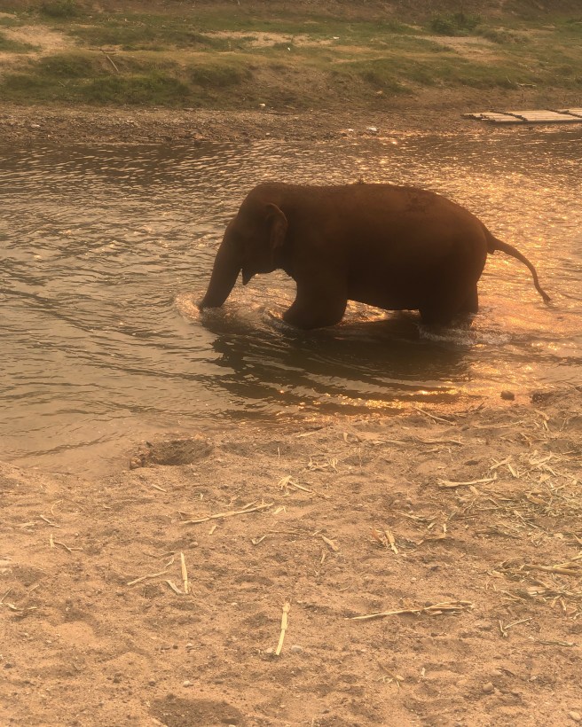 D944F369-8490-4878-8F1F-4B2B7F143D8B